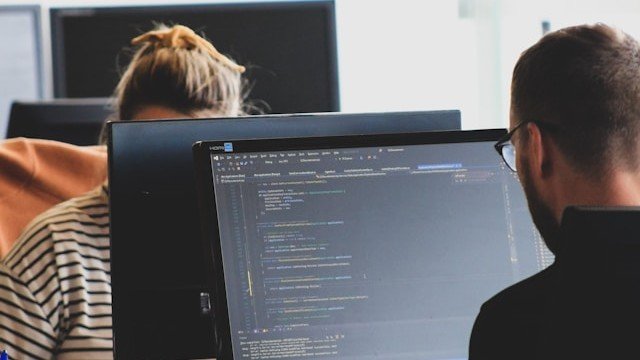 Software Consulting